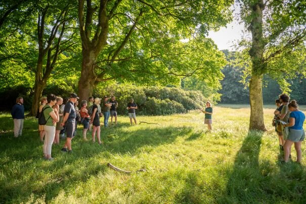 Ontspanning Natuurwandeling: midzomer de Kelten