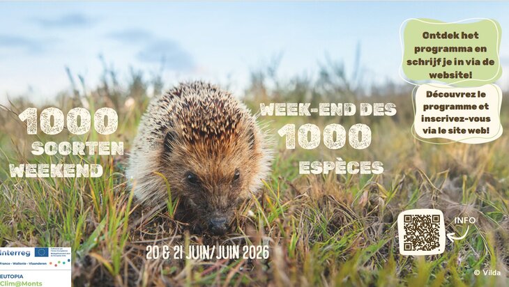 Ontspanning 1000-soortenweekend