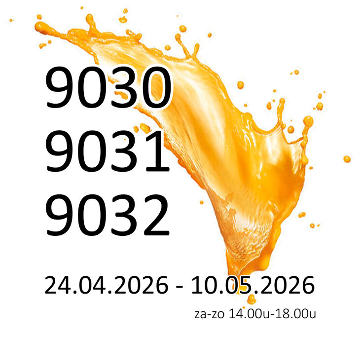 Tentoonstellingen Tentoonstelling  9030 9031 9032