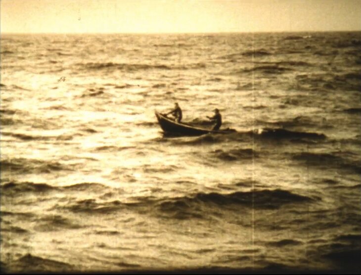 Voorstellingen Terre-Neuvas + Three Cheers the Whale