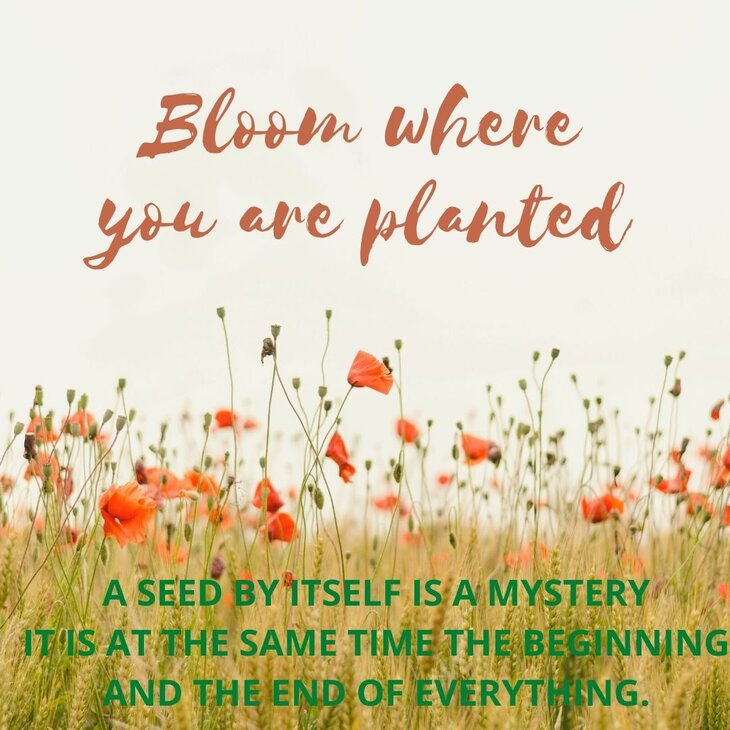 Workshops Basiscursus Vedic art