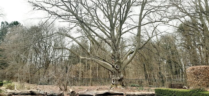 Ontspanning Van zorg rust