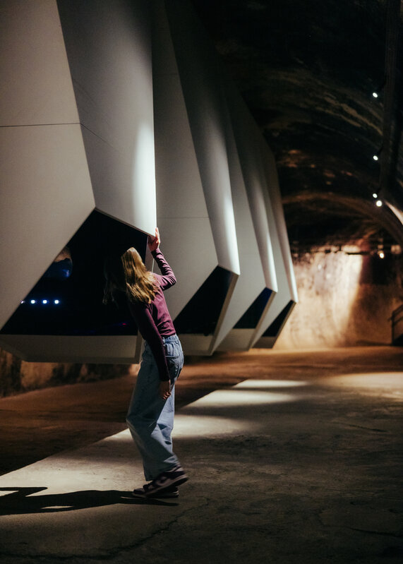 Tentoonstellingen C-mine expeditie