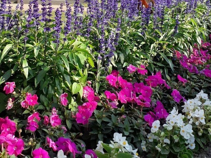 Concerten Zweedse koren / Kathedraal