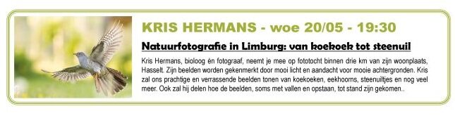 Voordrachten Lezing: Natuurfotografie Limburg: koekoek steenuil