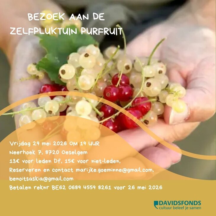 Ontspanning Bezoek de zelfpluktuin Purfruit
