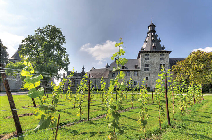 Ontspanning Een schilderachtige wandeling door hart Château Bioul de wijngaard
