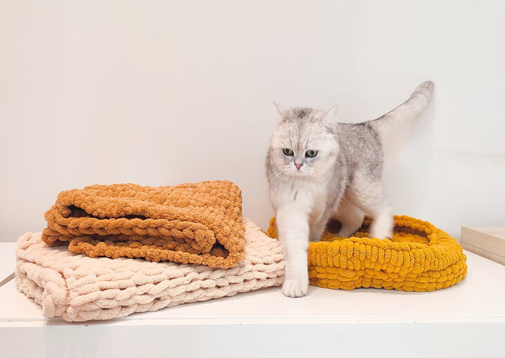 Workshops Workshop handbreien kattenmand creatief tussen katten