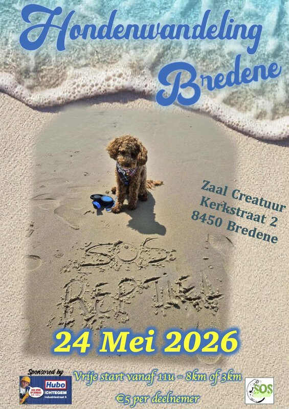 Ontspanning Hondenwandeling