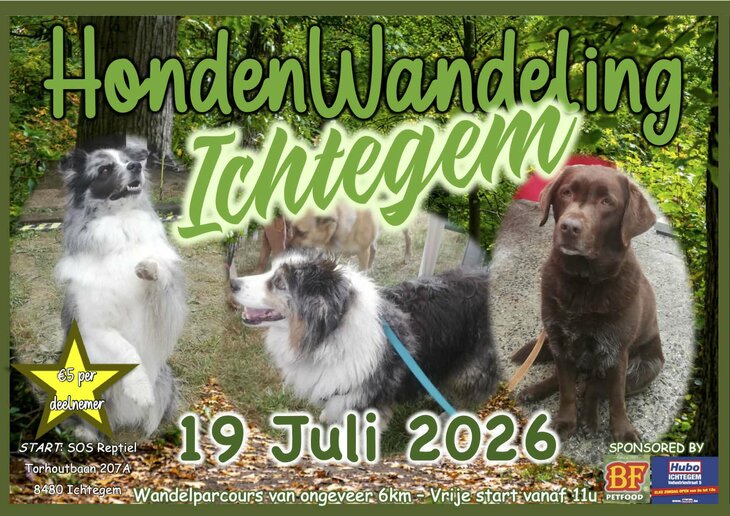 Ontspanning Hondenwandeling