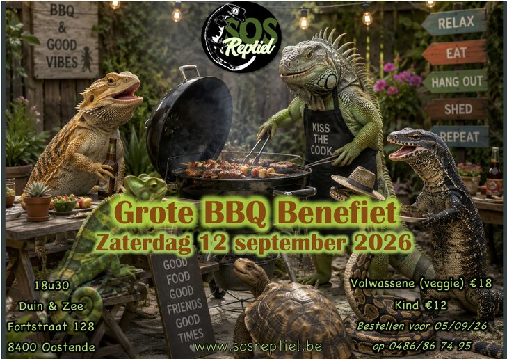 Ontspanning Bbq Reptiel