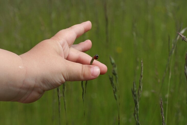Ontspanning Natuurspeurdertjes - kleine gidsen morgen