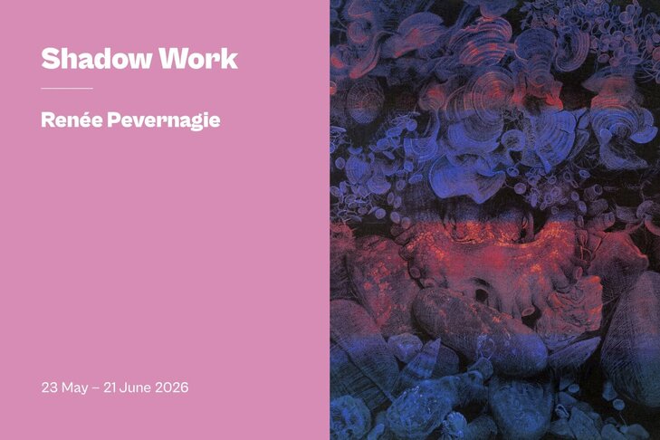 Tentoonstellingen Shadow Work