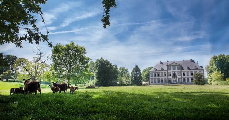 Tentoonstellingen Kasteel Attre Een juweel de eeuw Henegouwen