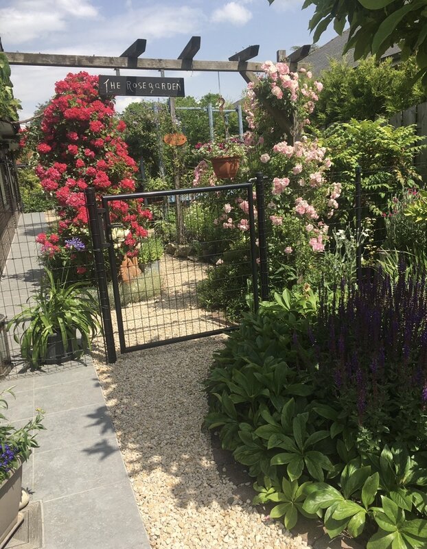 Ontspanning Open tuin Rosegarden Stekene