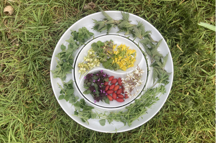 Workshops Joie vivre - permaculture fow