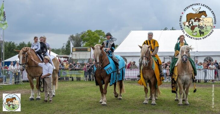Ontspanning 28ste Levend Erfgoed Expo