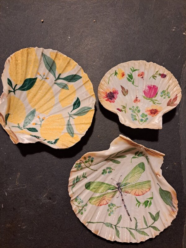 Workshops Workshop decoupage schelpen