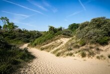 Ontspanning Survival de duinen - stap de gids - & fr
