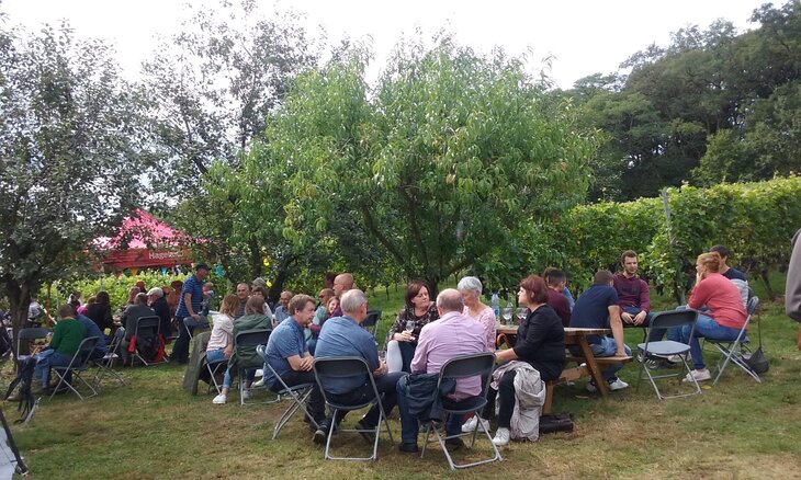 Ontspanning Sprankelend Hageland wijngaard Gaerde