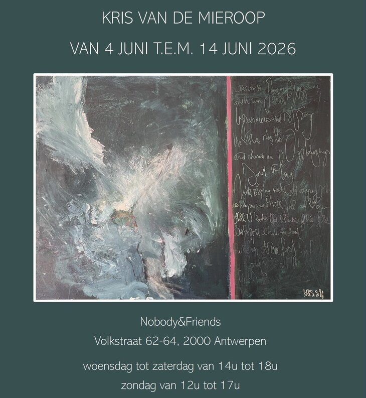 Tentoonstellingen Schilder Kris de Mieroop Nobody&Friends