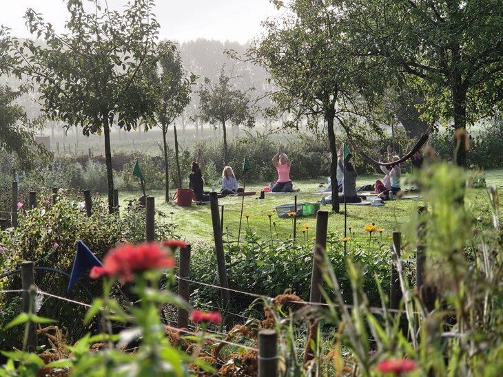 Workshops Meditatiecirkel en Bloem