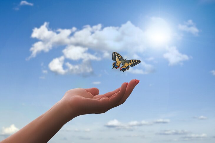 Workshops Cursus Herbronningsretreat: ontdekken bevrijden authentieke creativiteit