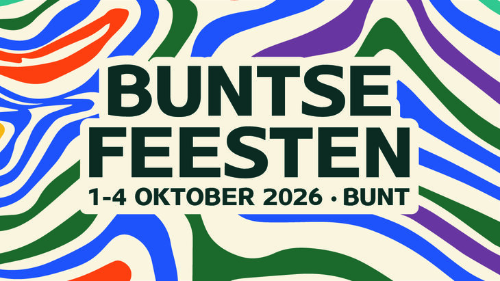  Rommelmarkt Buntse Feesten