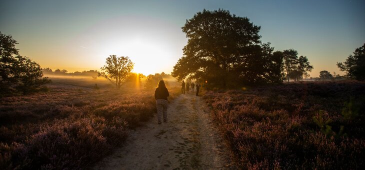 Workshops MaasMauve Heidedagen - Workshop Landschapsfotografie