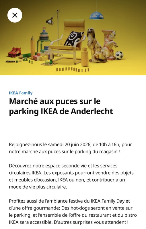  Rommelmarkt de parking Ikea Anderlecht