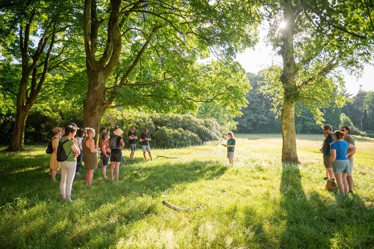 Ontspanning Schemerwandeling: bomen doen schemering
