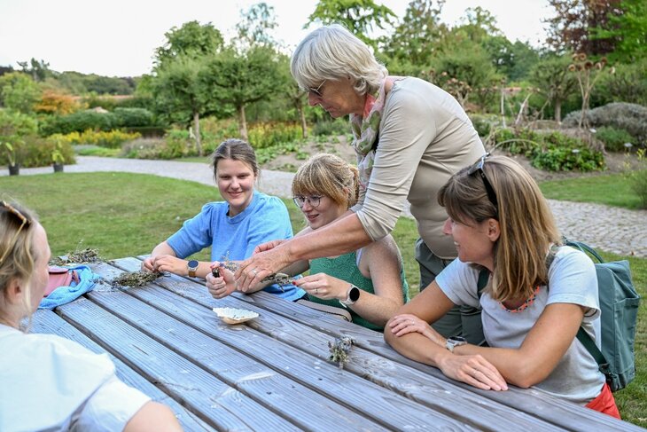Ontspanning Schemerwandeling: sjamanenkruiden