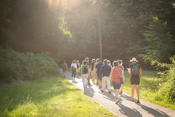 Ontspanning Schemerwandeling: leven rust het bos