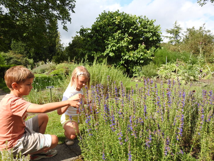 Ontspanning Een kruidige kijk: zoektocht voor kinderen