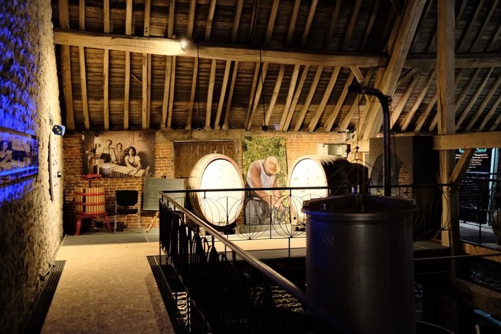 Ontspanning Een schilderachtige wandeling door hart Château Bioul de wijngaard