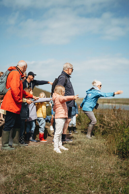 Ontspanning Gezinswandelingen het Zwin