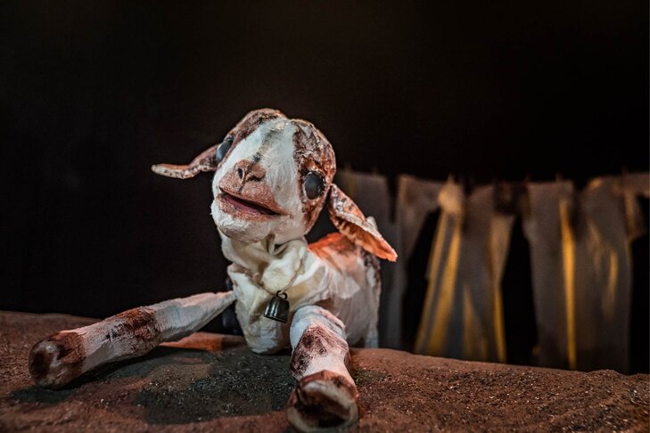 Voorstellingen Schoolvoorstelling: Theater Tieret - Sabr