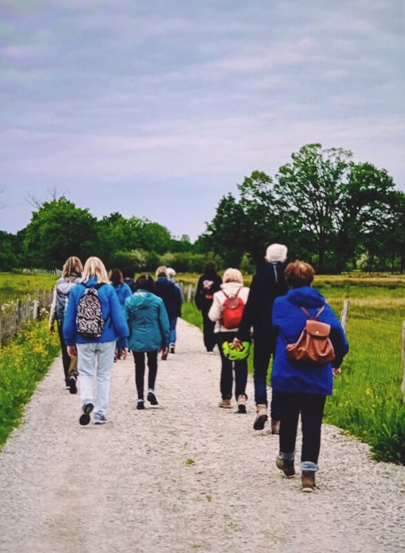 Ontspanning Ontspannende wandeling voor singles