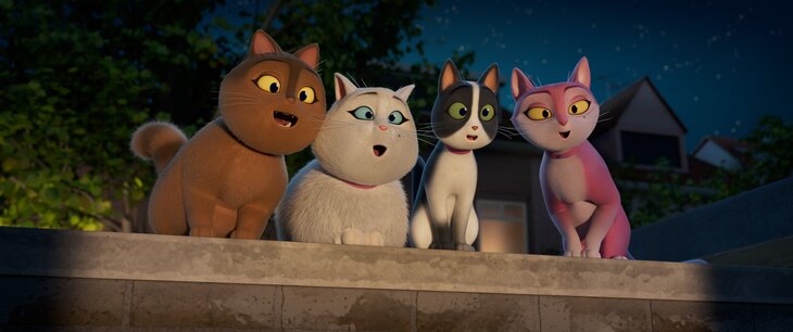 Voorstellingen Ciné Wouwer jeugdfilmfestival - Moxy