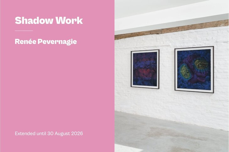 Tentoonstellingen Shadow Work