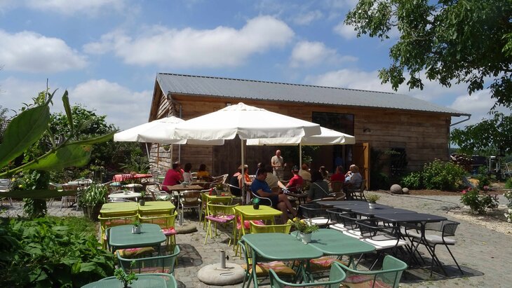 Ontspanning Wijnbar Wijndomein Neerhof