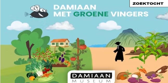 Ontspanning Schatten Vlieg - Damiaan groene vingers
