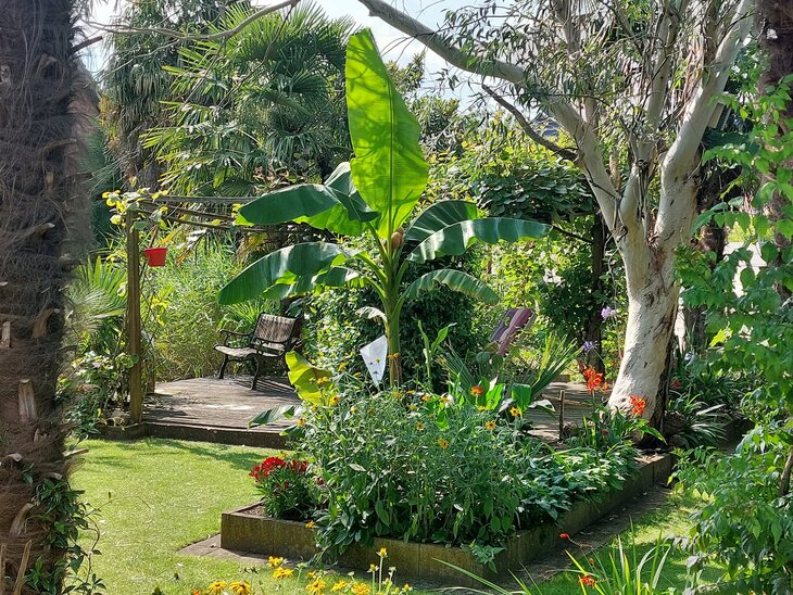 Ontspanning Open Exotentuin Safegarden