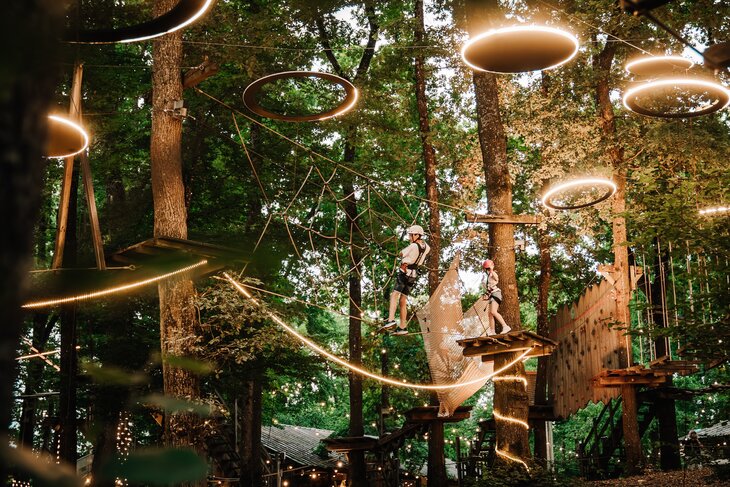 Ontspanning Forest Lights - Zomeravonden het klimbos