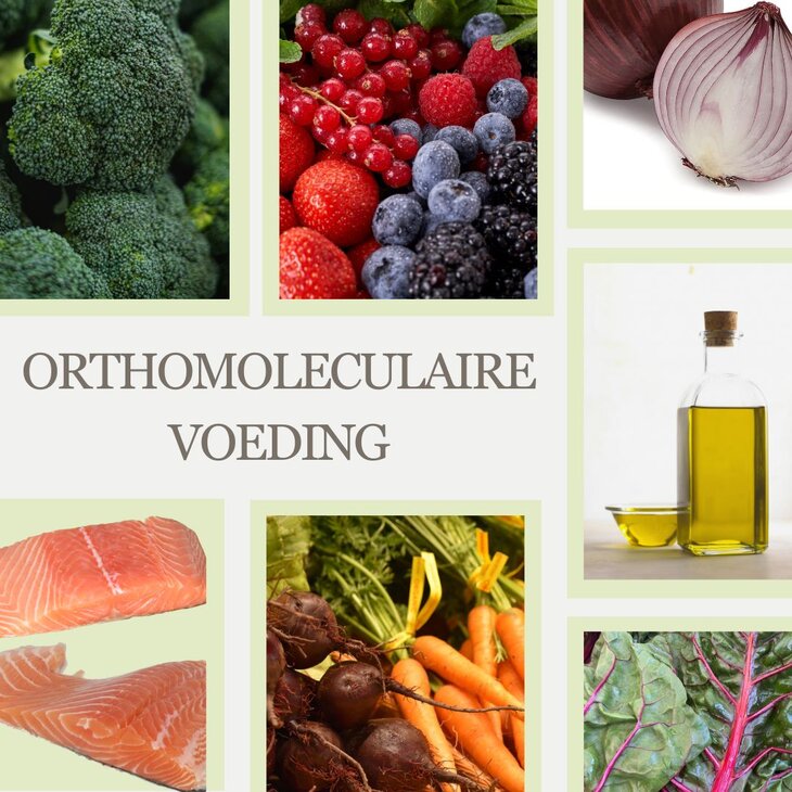 Workshops Cursus Orthomoleculaire voeding