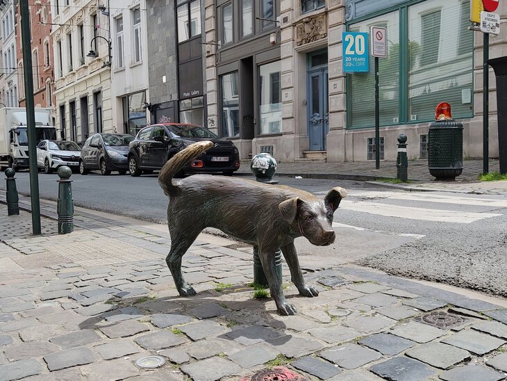 Ontspanning Zomertour de fiets: Beestig Brussel