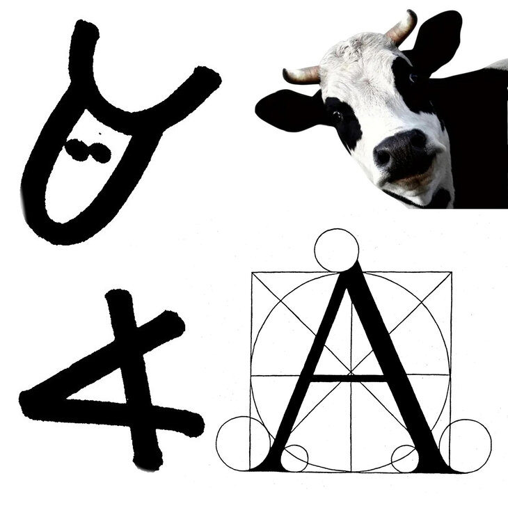 Voordrachten A een Koetje (dat staat zijn Kop) - waar komen onze letters vandaan?