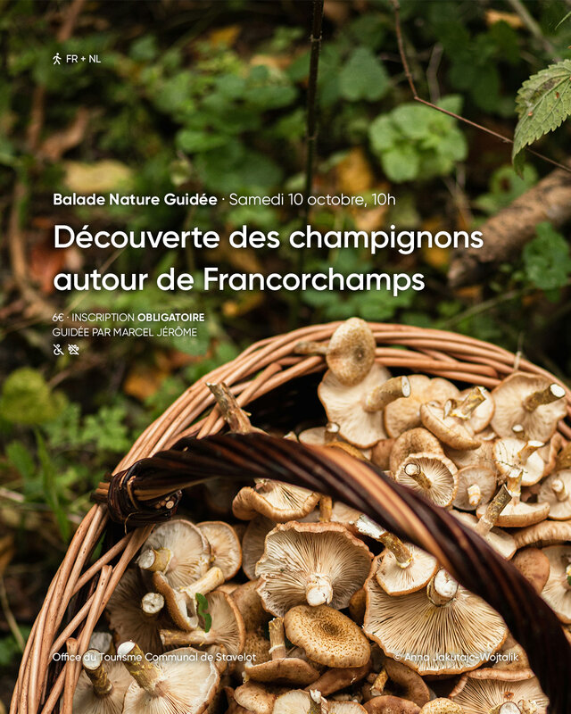 Ontspanning Begeleide natuurwandeling Ontdekkingstocht naar paddenstoelen (Francorchamps)