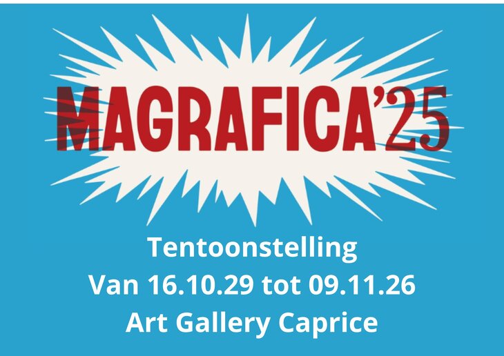Tentoonstellingen Tentoonstelling Magrafica Democratie beeld