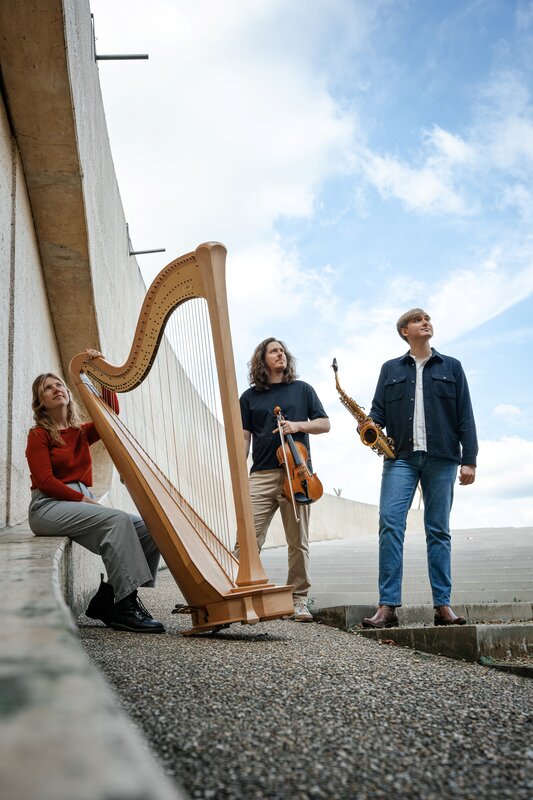 Concerten Huiskamerconcert Morphose Trio - Saxofoon, altviool harp